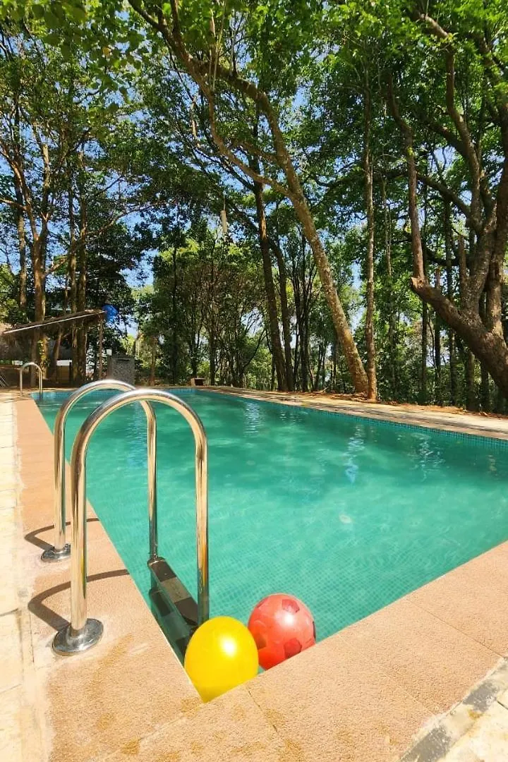 Hotel Celestia Woods Meppādi